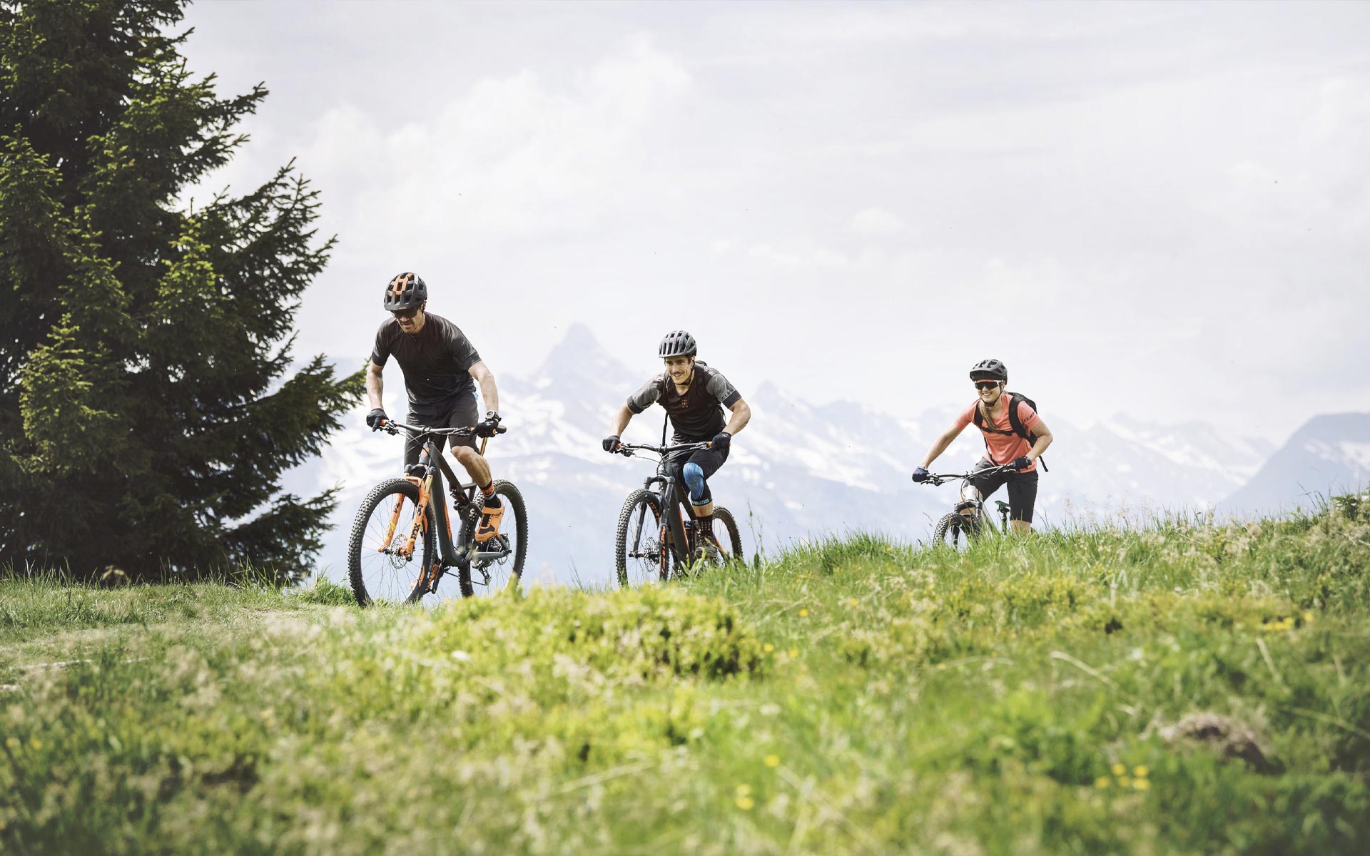 Magasin de v los Tarbes Magasin de v los Lourdes Bike aventure 65